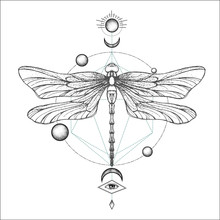 Hand Drawn Engraving Sketch Of Dragonfly. Vector Illustration For Tattoo And Handmade Decorative Brooch. Can Be Used For For Postcard, T-shirt, Fabric Bag Or Poster. Insect Collection.