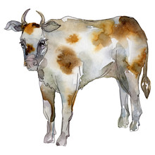 Cow Farm Animal In A Watercolor Style Isolated. Aquarelle Wild Animal For Background.