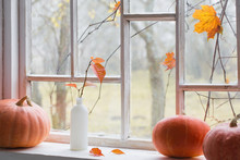 Orange Pumpkin On Windowsill