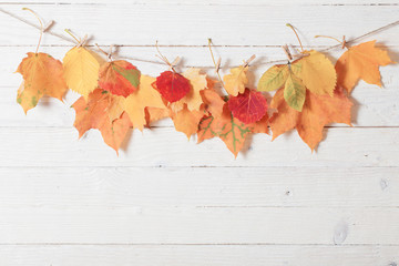 Poster - autumn leaves on wooden background