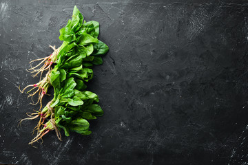 Fresh green spinach on a black stone table. Top view. Free space for your text.