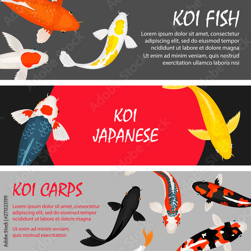 Koi Fishes Vector Banners Of Set Template Fish Japan Traditional