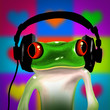 Leinwandbild Motiv musik frog dj