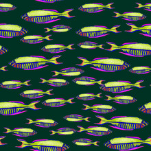 Sea Inverted Color Sea Shells Inverted To Blue Free Stock Photo - Public Domain Pictures