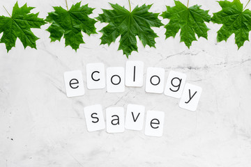 ecology save concept with maple leave on marble background top view