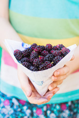 mulberry in the hands