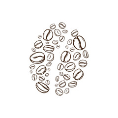 Vector Coffee beans. Outline Illustration isolated on white background