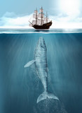 Fototapeta Łazienka - Humpback Whale hunting, ship attack