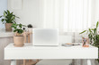 © New Africa - Houseplants and laptop on table in office interior