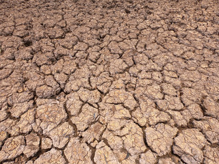 cracked earth on arid area