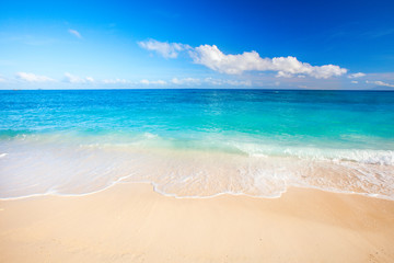 Wall Mural - tropical beach and sea