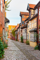 Wall Mural - Street with Medieval old brick buildings. Luneburg. Germany