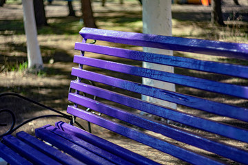 bench in the park