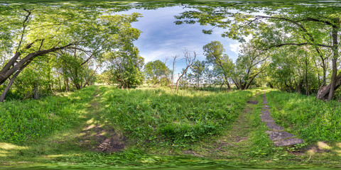 Wall Mural - full seamless spherical hdri panorama 360 degrees angle view on cycling and pedestrian walking path among the bushes of forest in equirectangular projection, ready VR AR virtual reality content