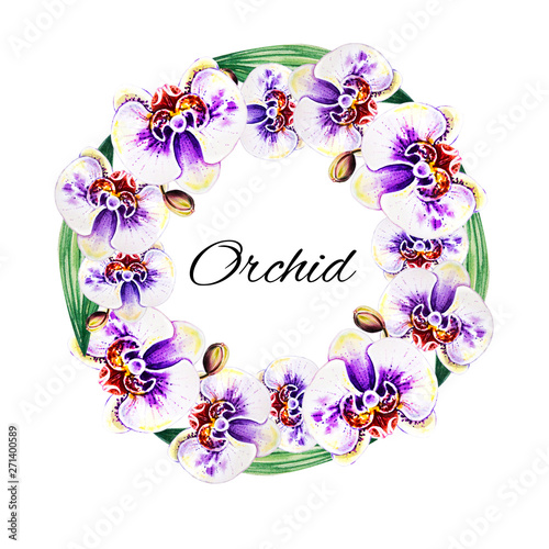 Beautiful  wreath from orchid flowers. Watercolor painting. Exotic plant. Flo...