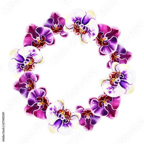 Beautiful  wreath from orchid flowers. Watercolor painting. Exotic plant. Flo...