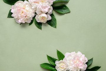 Wall Mural - Peonies background with copy space