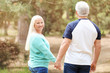 © Pixel-Shot - Happy mature couple walking in park