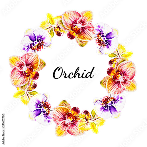 Beautiful  wreath from orchid flowers. Watercolor painting. Exotic plant. Flo...