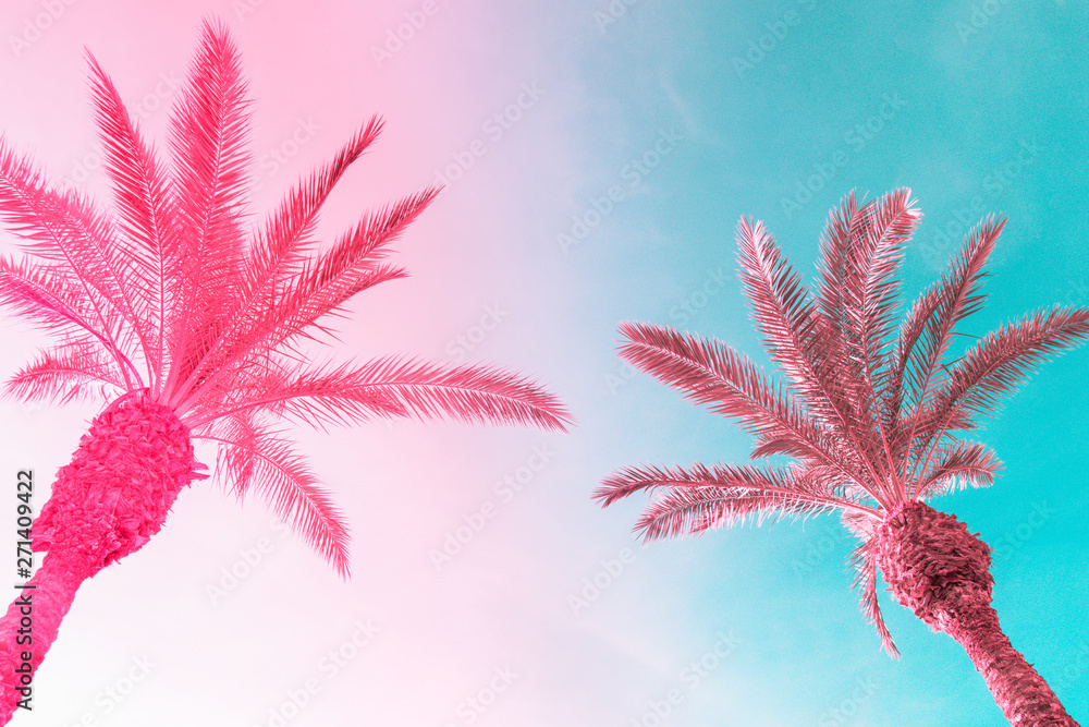Two tall palm trees on toned gradient pink blue sk WallsHeaven olindana