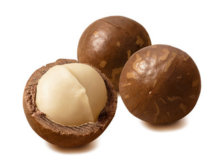 Wall Mural - macadamia nuts. peeled and in nutshells. isolated on white background