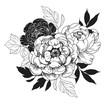 Background with peony flowers. Floral comtosition. Hand drawn elements converted to vector