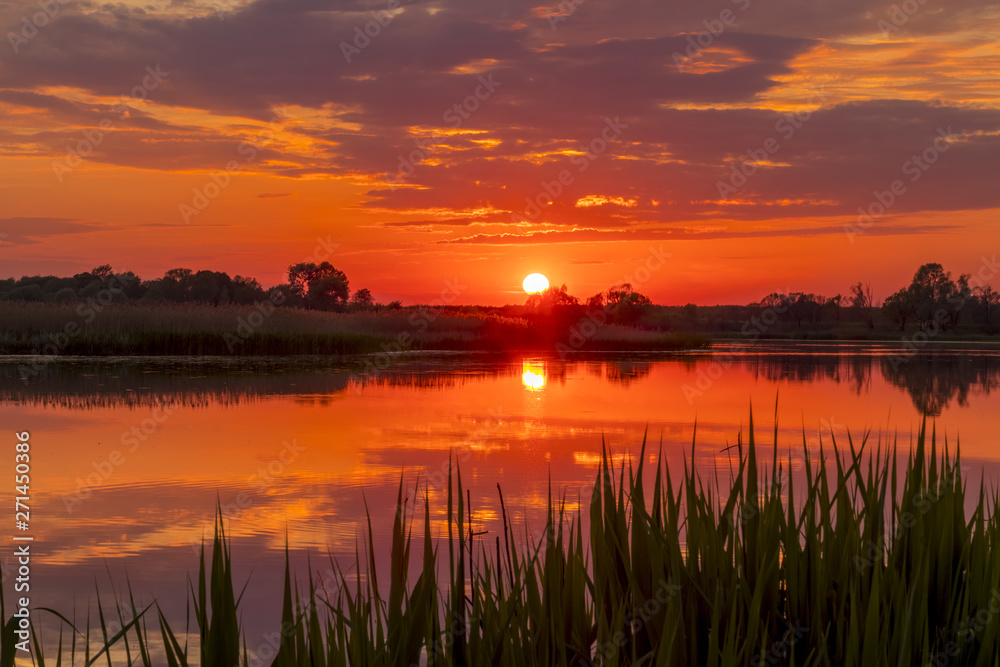 Sunset above the pond or lake with cloudy sky at summer and water reflection. - obrazy, fototapety, plakaty 