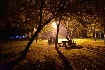 light in the park