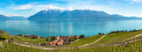 Fototapeta Nowy Jork - Panoramic view of vineyards in Lavaux region, near Vevey, over Lake Leman (Lake Geneva), Canton of Vaud, Switzerland