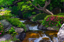 Beautiful Japanese Garden With Small Waterfall