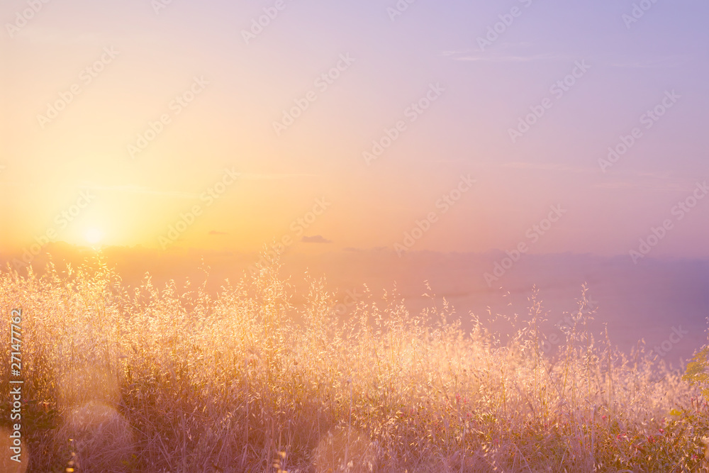 Art abstract  natural background; summer sunny meadow - obrazy, fototapety, plakaty 