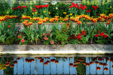 Wall Mural - spring tulips and reflecting pond. vibrant yellows, oranges and reds