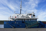 Fototapeta Psy - Stern of cargo vessel at port. Gangway arrangment. Blue hull. White superstructure.