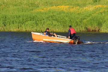 Wall Mural - Two men in life jackets floating in a small orange fishing outboard motor boat along the shore with green grass, rear side view