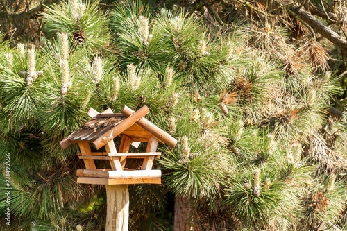 Wooden Bird Feeder Near Forest Feeding Birds Home Production