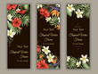 Vector bookmarks with green tropical leaves, plumeria, strelitzia and hibiscus flowers on black background. Summer or spring tropical vertical templates. Trendy exotic jungle design