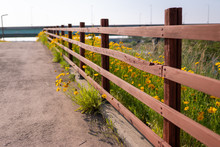 Wooden Fence And Flowers