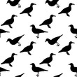 Silhouette of Water Duck on white background. Seamless Pattern. Vector Illustration