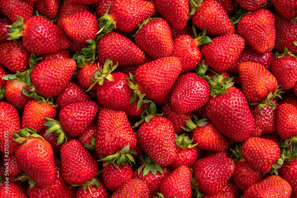 Red large ripe strawberries close-up. Harvest berries. - obrazy, fototapety, plakaty 