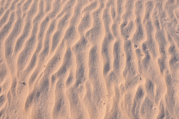 Wall Mural - Texture Sand Dune Desert