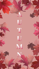 Wall Mural - Autumn leaves background