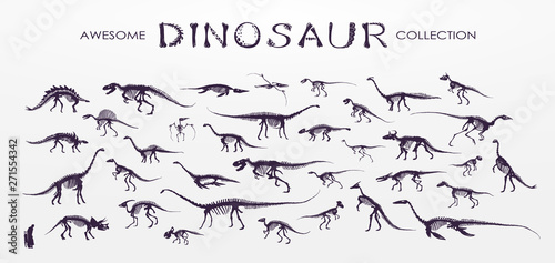Set, silhouettes, dino skeletons, dinosaurs, fossils Obraz na płótnie