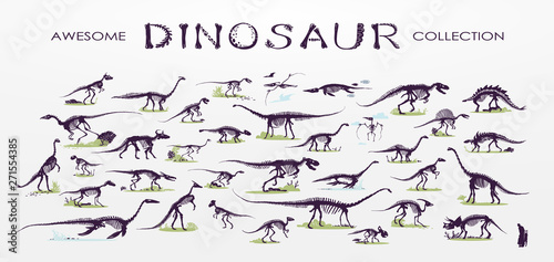 Fotografia  Set, silhouettes, dino skeletons, dinosaurs, fossils