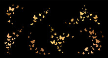 Set Of Butterflies, Ink Silhouettes. Glowworms, Fireflies And Butterflies Icons Isolated On White Background. Hand Drawn Elements, Vector Illustration.