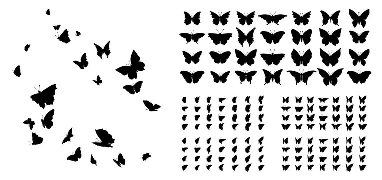 Set of butterflies, ink silhouettes. Glowworms, fireflies and butterflies icons isolated on white background. Hand drawn elements, Vector illustration.