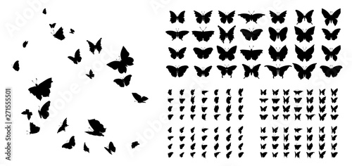 Cuadros en Lienzo Set of butterflies, ink silhouettes