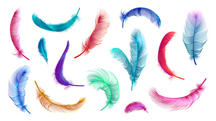 vector feathers collection, set of different falling fluffy twirled feathers, isolated on transparen