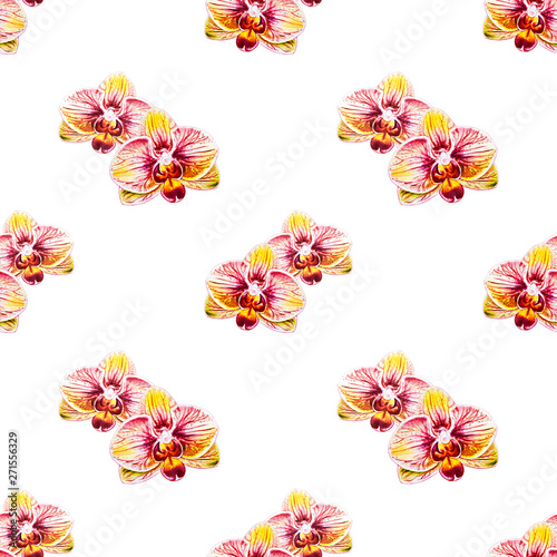 Seamless pattern from orchid flowers. Watercolor painting. Exotic plant. Flor...