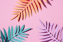 Paper Tropical Palm Leaves  On The Pink Background. Summer Concept Top View