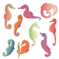 Wall Mural - set of images of sea horses. vector illustration.
